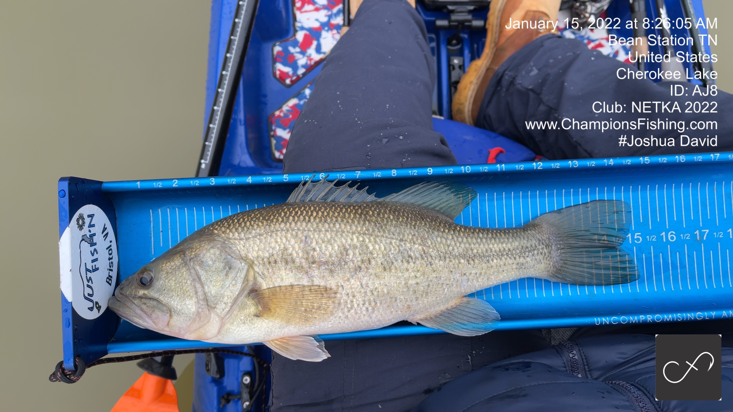 When Kayak Bass Fishing Goes Wrong And There Is Nothing You Can Do About It  On Cherokee Lake » Champions Kayak Fishing
